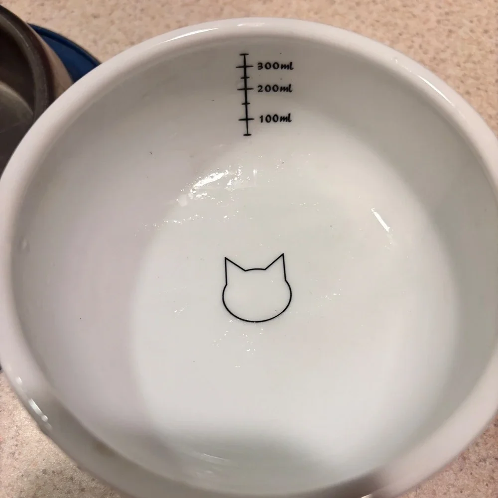 Necoichi raised ceramic